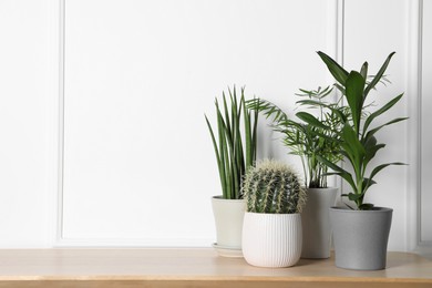 Photo of Many different plants in pots on wooden table indoors, space for text. House decor