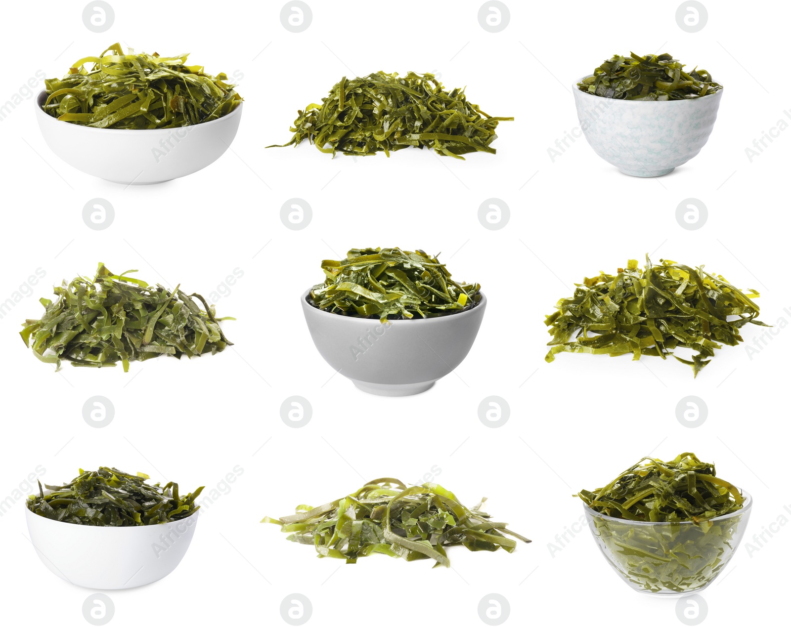 Image of Set with fresh laminaria (kelp) seaweed on white background