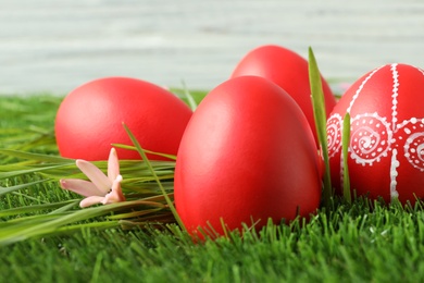 Red painted Easter eggs on green grass against light background