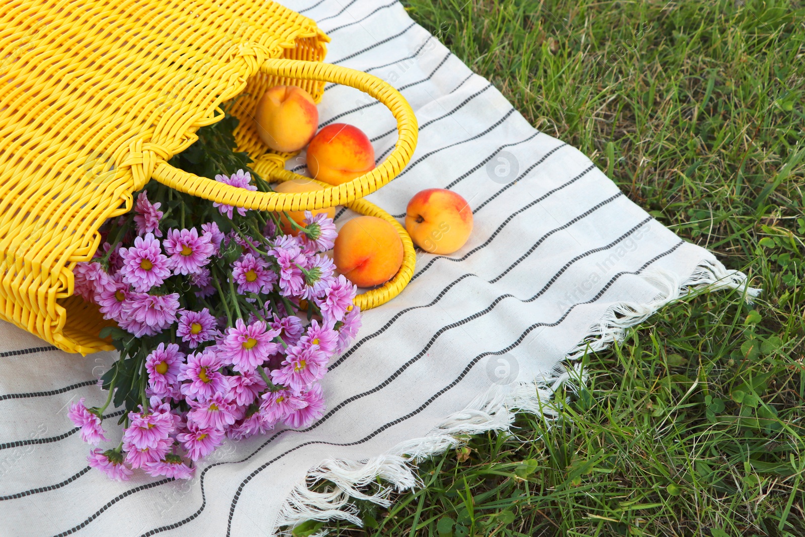 Photo of Yellow wicker bag with beautiful flowers and peaches on picnic blanket outdoors