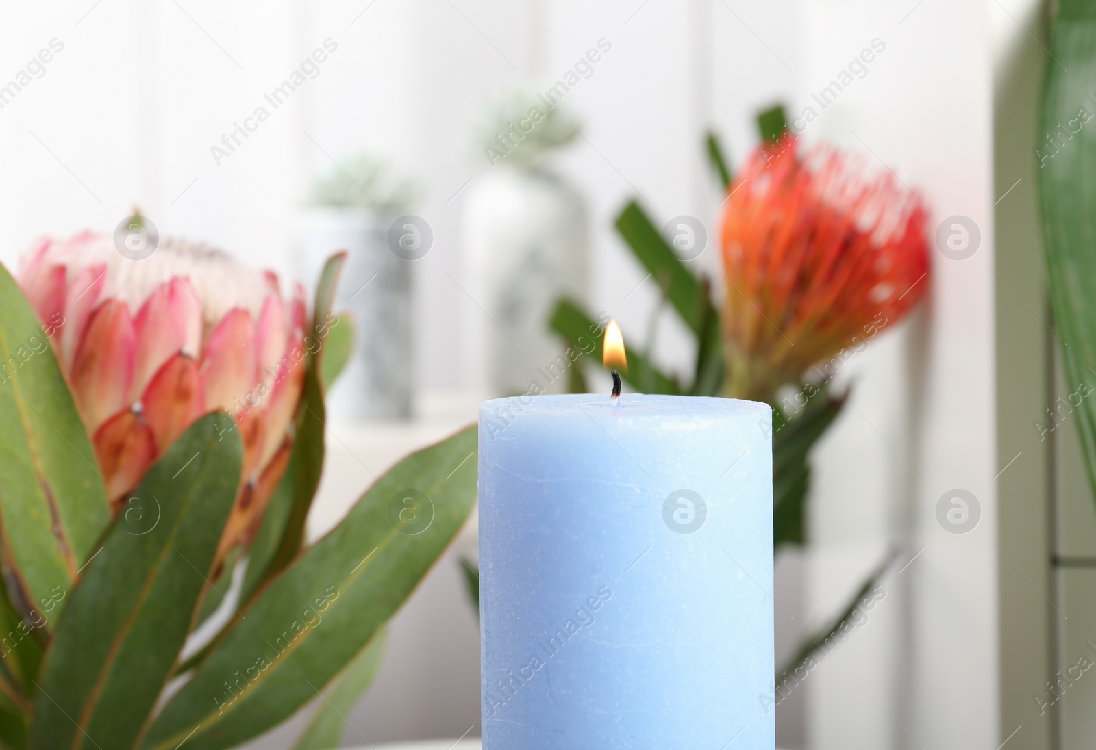 Photo of Burning candle and tropical plants on background