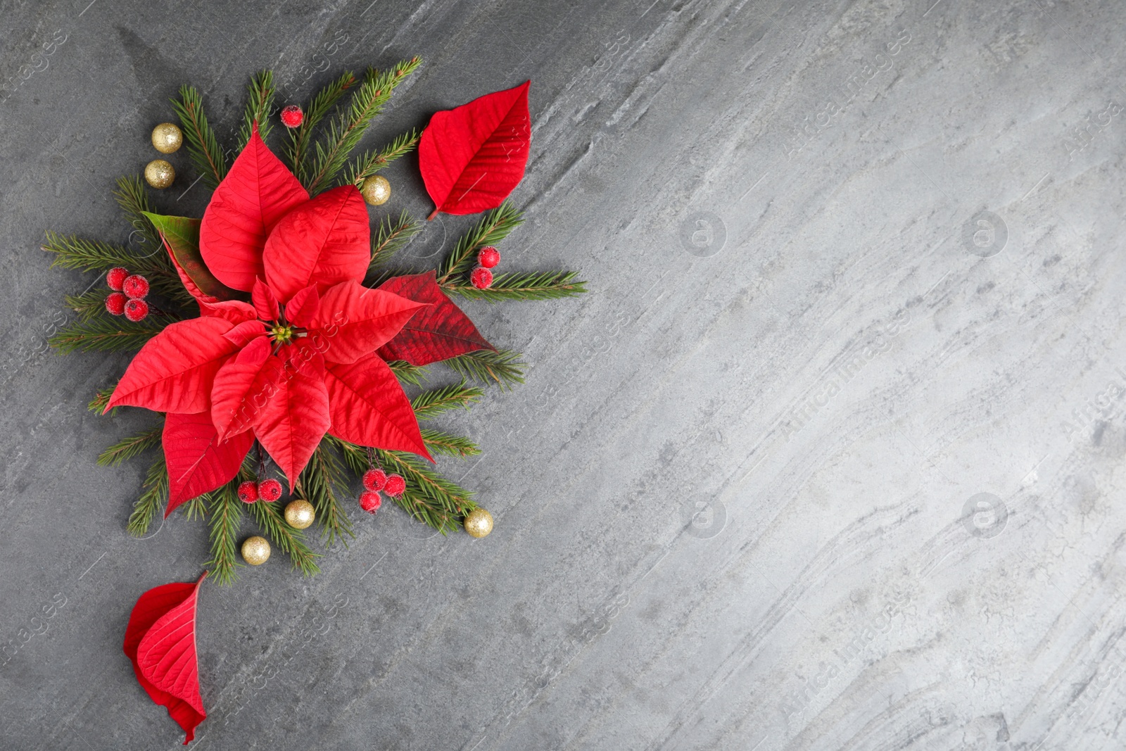 Photo of Flat lay composition with beautiful poinsettia on grey background, space for text. Christmas traditional flower