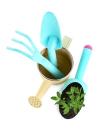 Watering can, rake and trowel with plant on white background, above view
