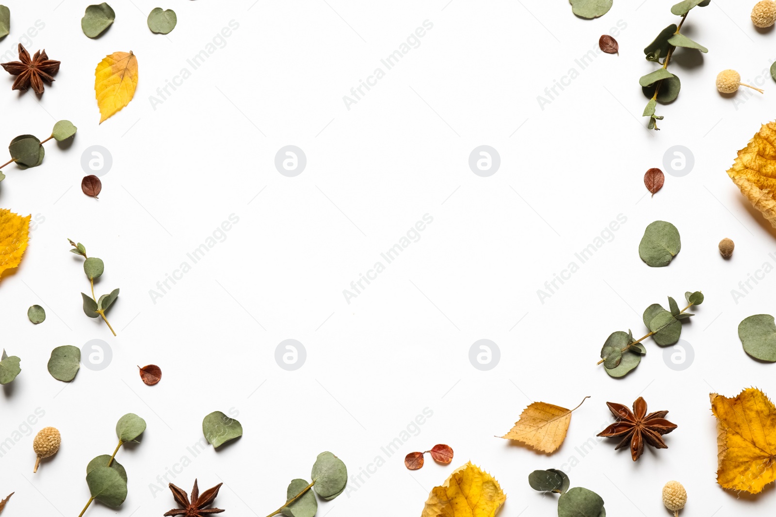 Photo of Flat lay composition with autumn leaves and space for text on white background