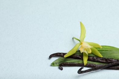 Vanilla pods, beautiful flower and green leaf on light background, closeup. Space for text