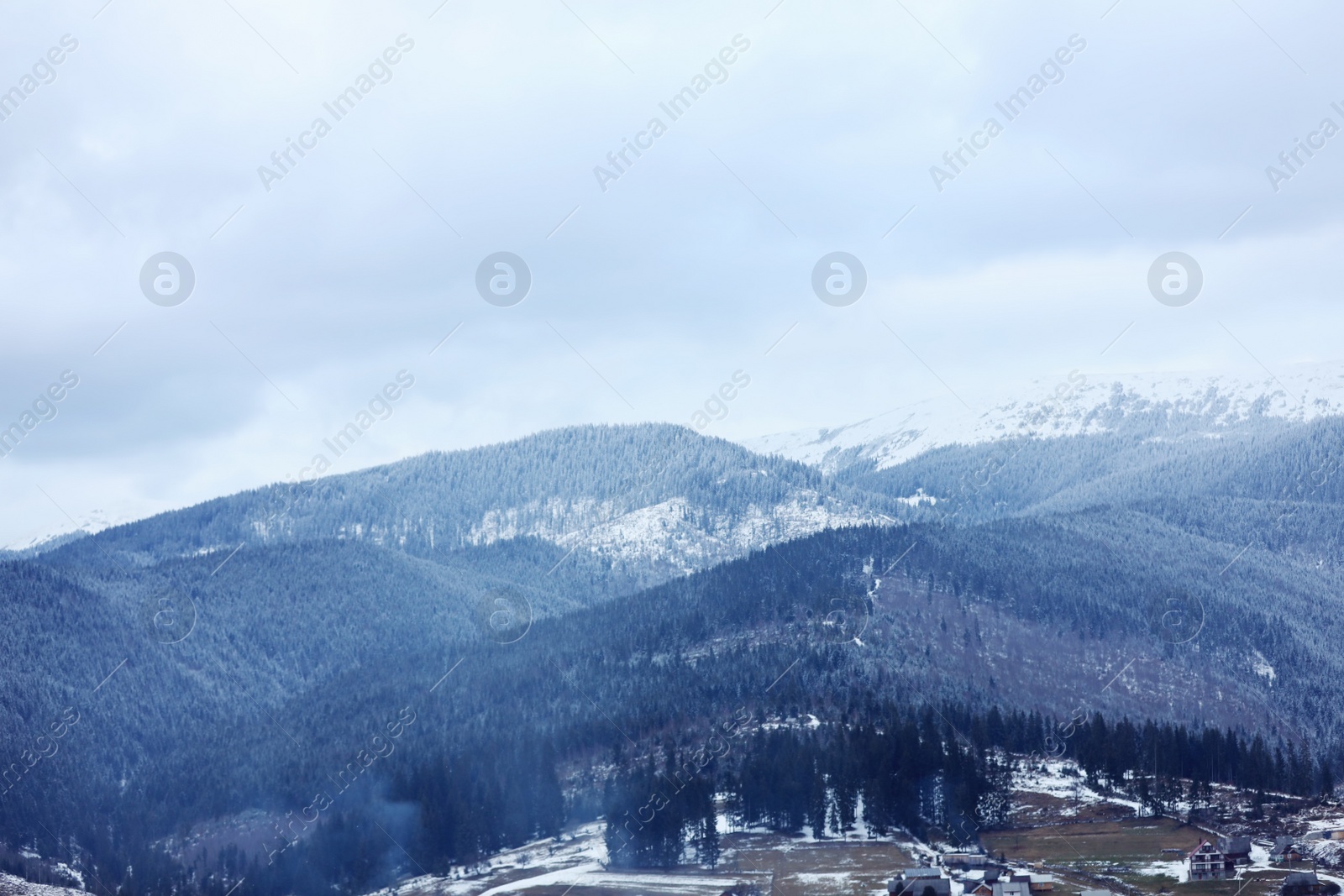 Photo of Beautiful mountain landscape with conifer forest in winter