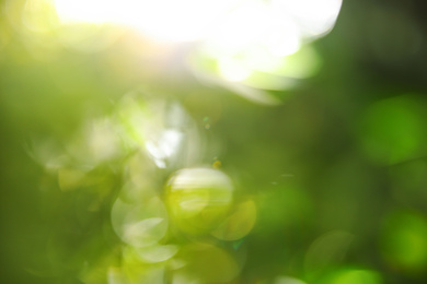 Photo of Abstract nature green background with sun rays, bokeh effect