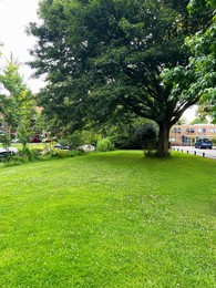 Photo of Picturesque view of beautiful park with fresh green grass and trees on sunny day