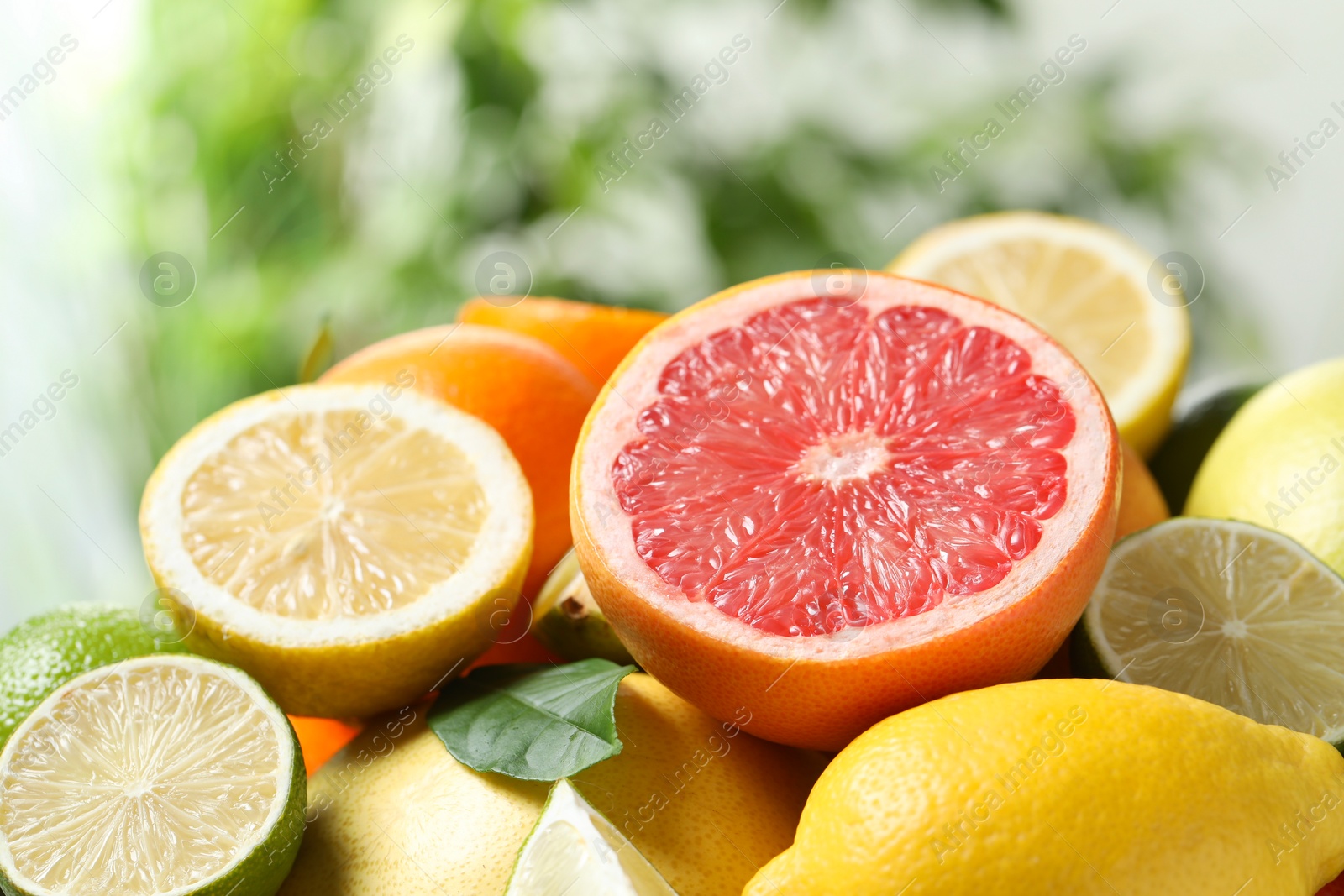 Photo of Different fresh citrus fruits against blurred background, closeup