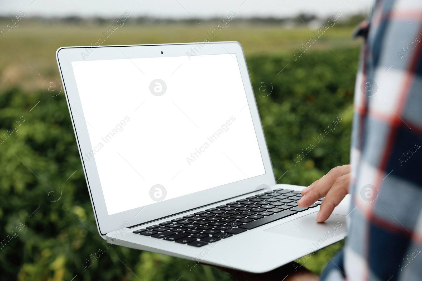 Photo of Man using laptop with blank screen in field, closeup. Agriculture technology