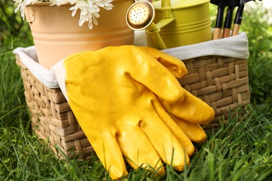 Photo of Wicker basket with gardening gloves, flowers and tools on grass outdoors, closeup