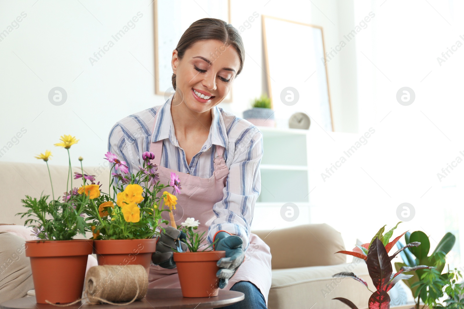 Photo of Young woman taking care of potted plants at home