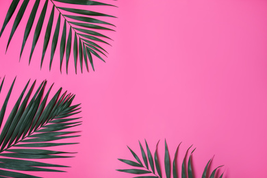 Beautiful lush tropical leaves on pink background. Space for text