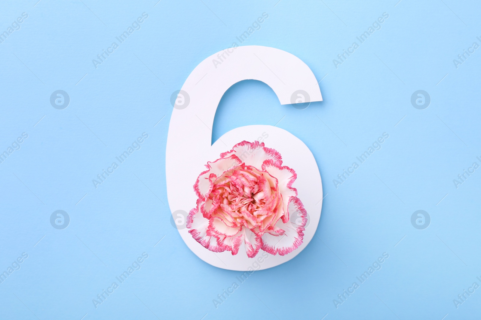 Photo of Paper number 6 and beautiful flower on light blue background, top view