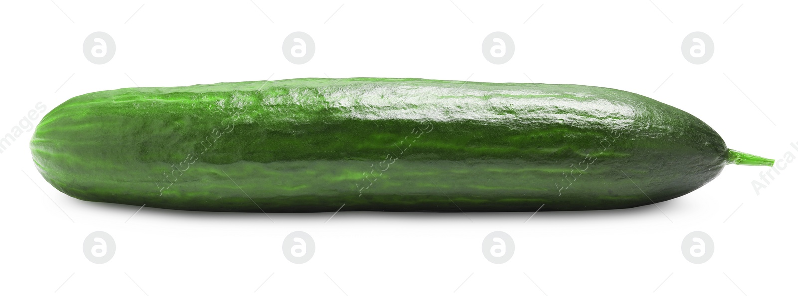 Photo of One long fresh cucumber isolated on white