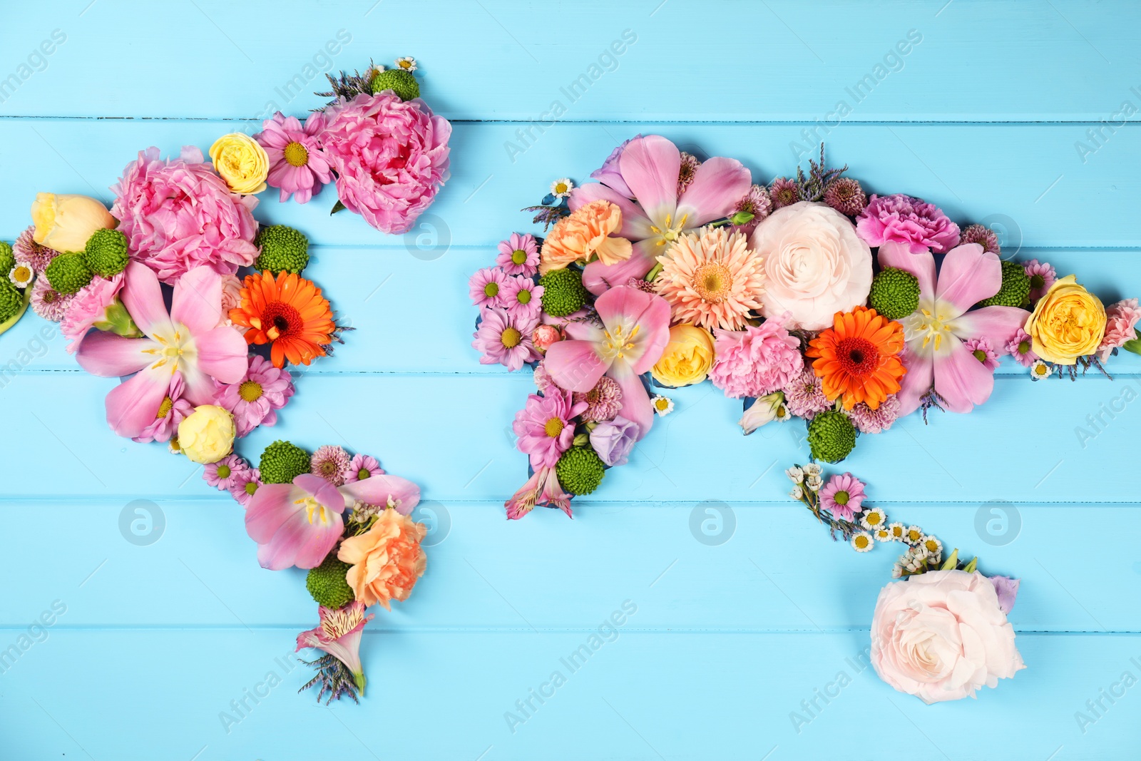 Photo of World map made of different beautiful flowers on light blue wooden table, flat lay