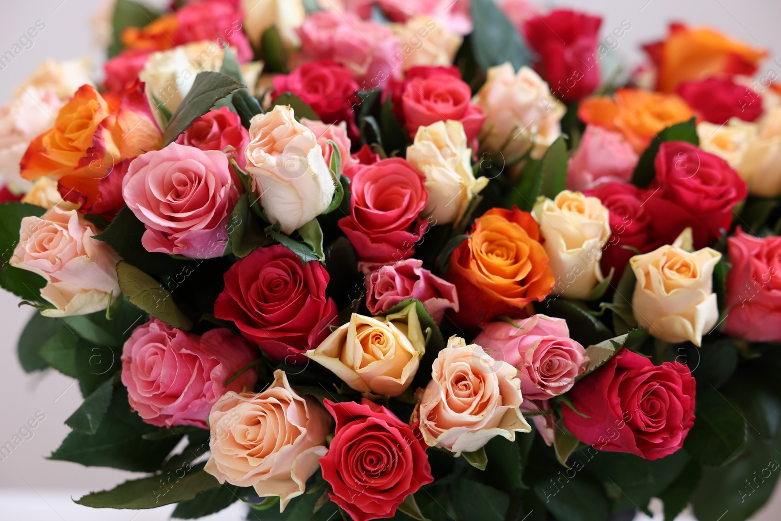 Photo of Bouquet of beautiful roses on light grey background, closeup