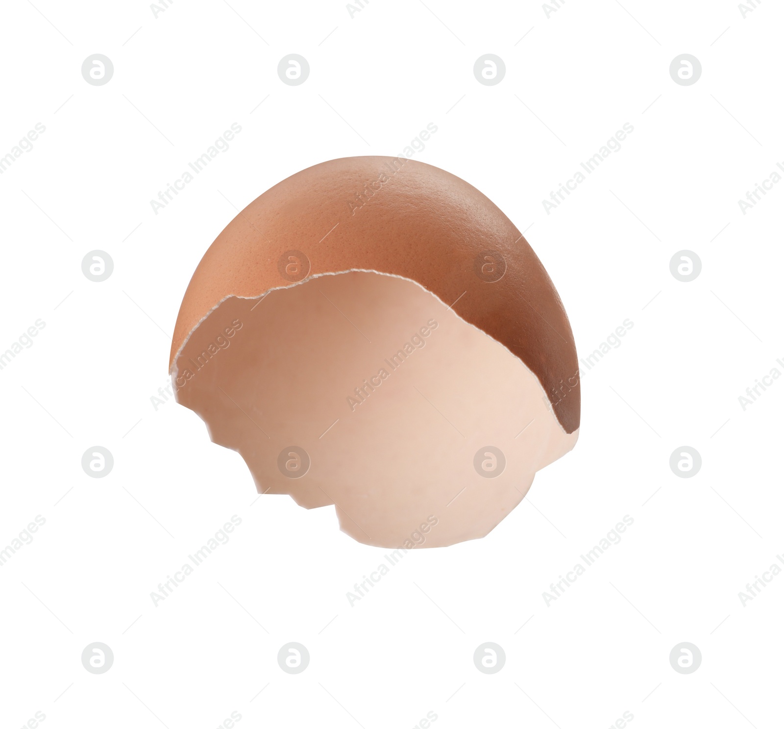 Photo of Shell of egg isolated on white background