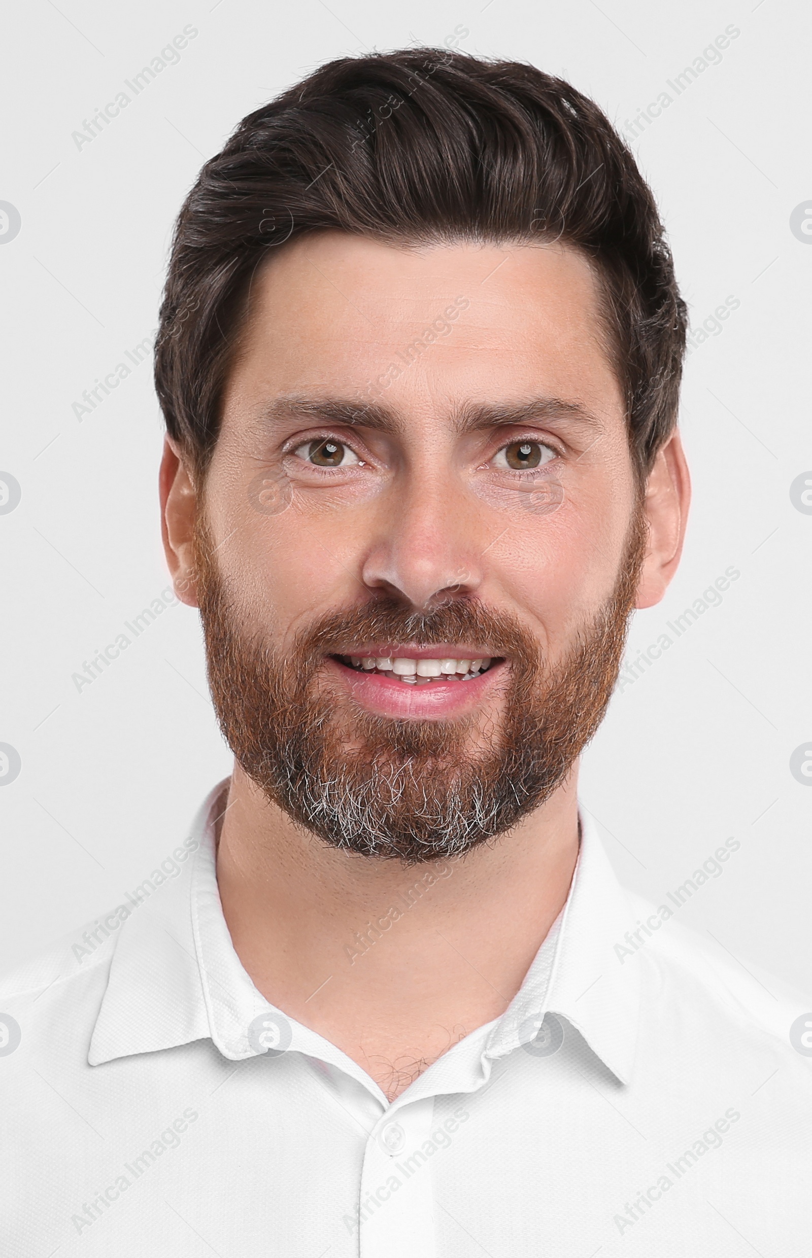 Image of Passport photo. Portrait of man on white background