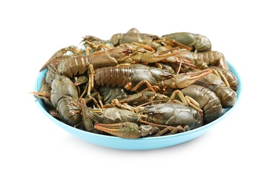 Photo of Bowl with fresh raw crayfishes isolated on white. Healthy seafood