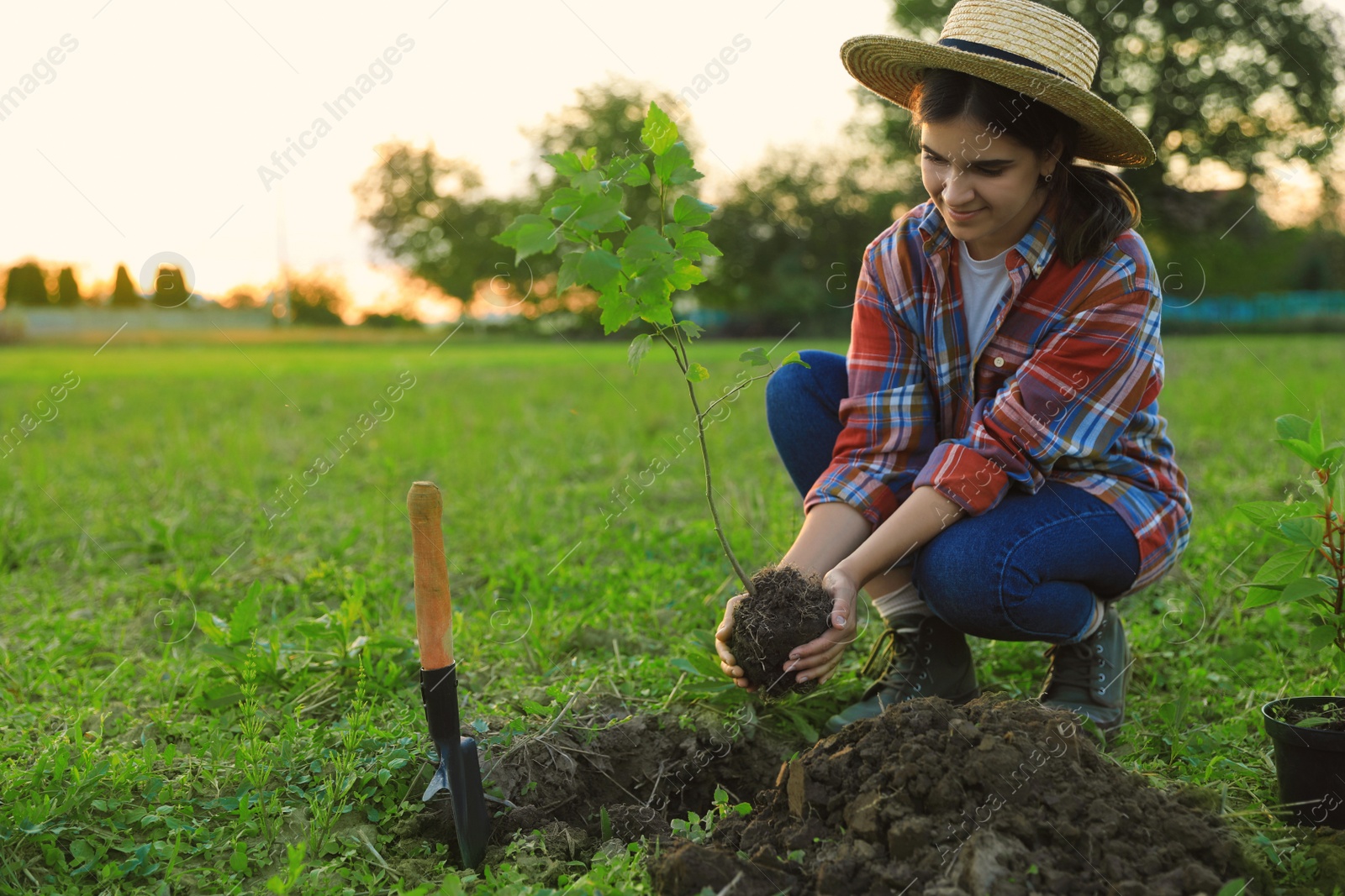 Photo of Young woman planting tree in countryside, space for text