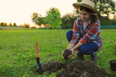 Photo of Young woman planting tree in countryside, space for text