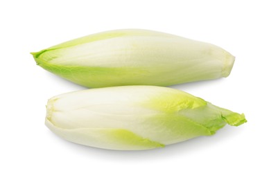 Photo of Raw ripe chicories on white background, top view