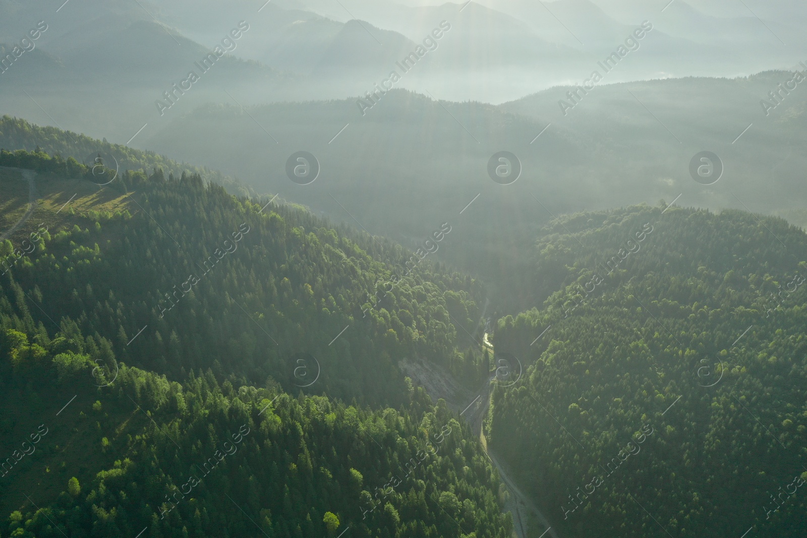 Photo of Aerial view of green trees and road in mountains on sunny day. Drone photography