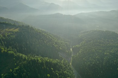 Photo of Aerial view of green trees and road in mountains on sunny day. Drone photography