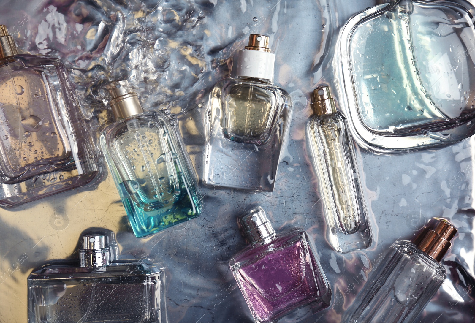 Photo of Different perfume bottles in water, flat lay