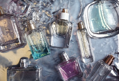 Photo of Different perfume bottles in water, flat lay