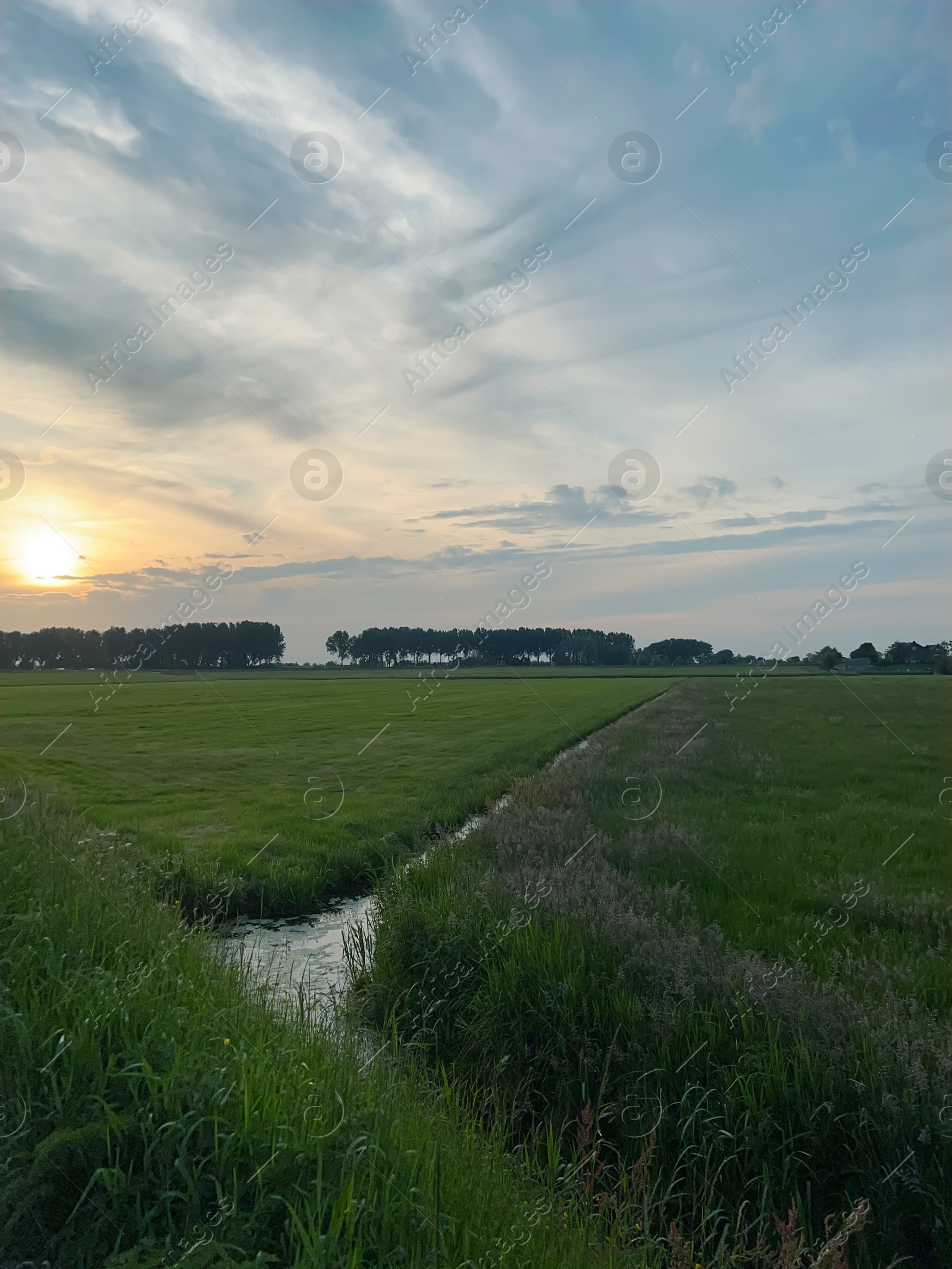 Photo of Beautiful view of green field during sunset. Picturesque landscape