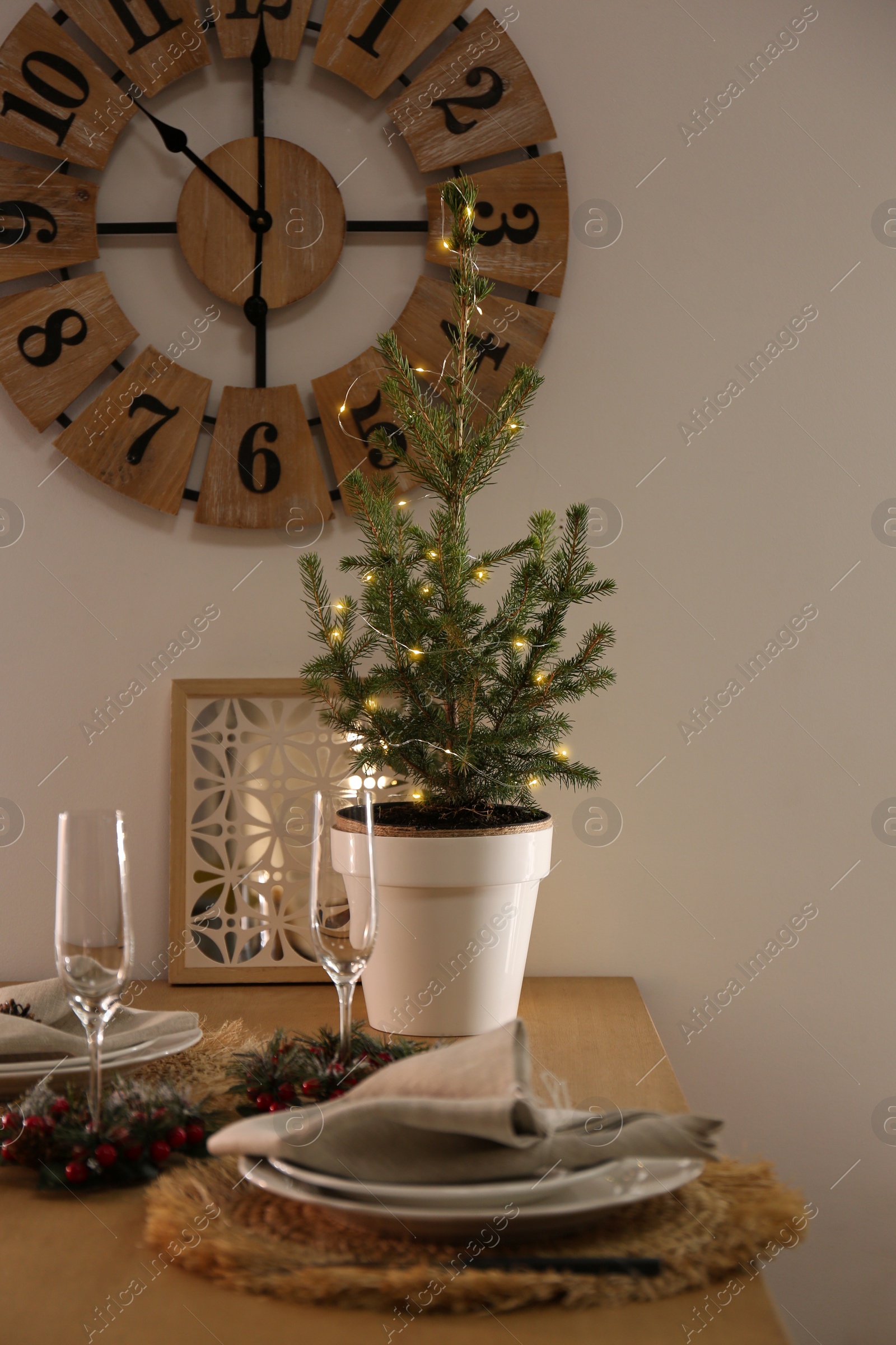 Photo of Small potted fir tree on dining table indoors. Interior design