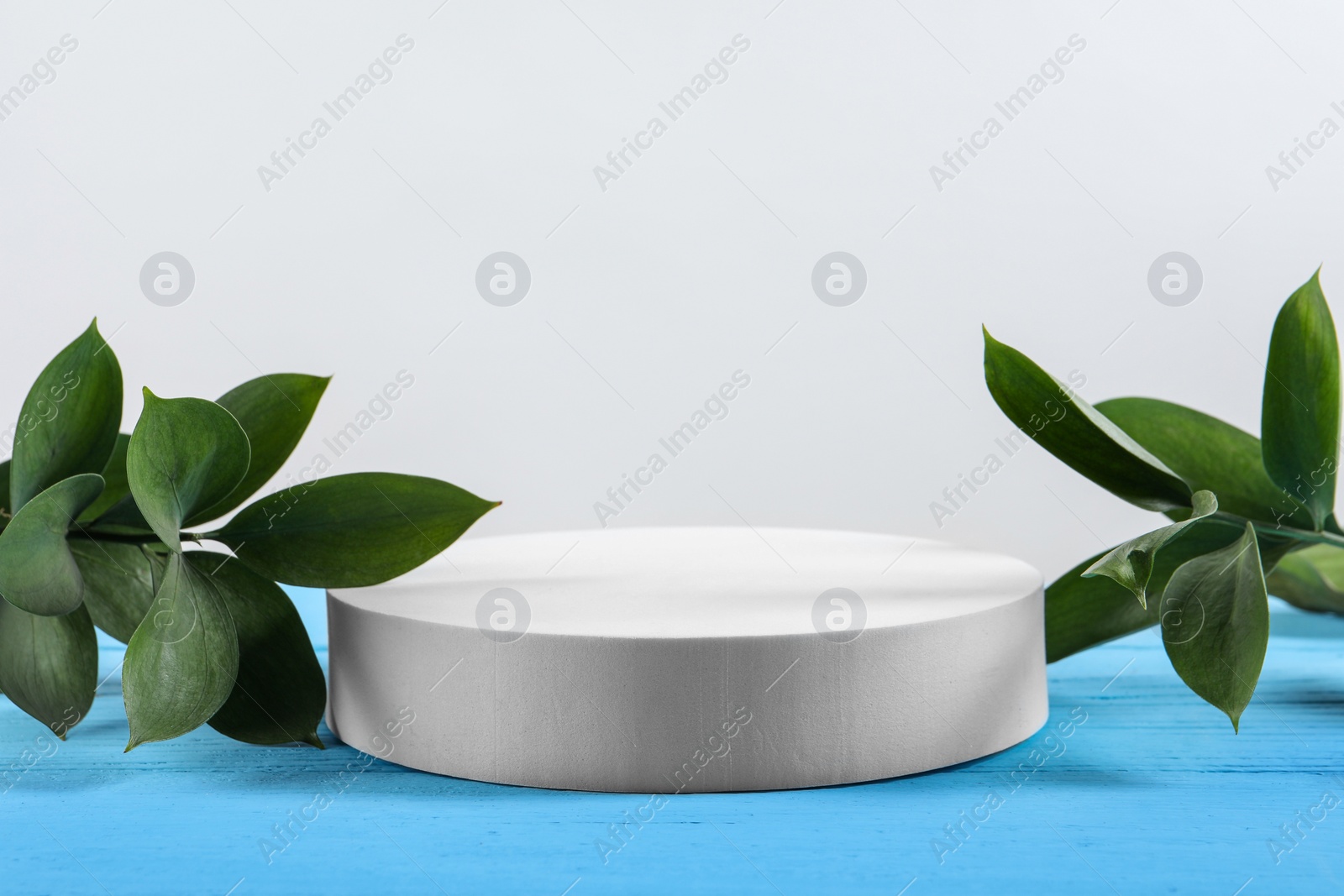 Photo of Green leaves and round shaped podium on light blue wooden table against white background. Space for text