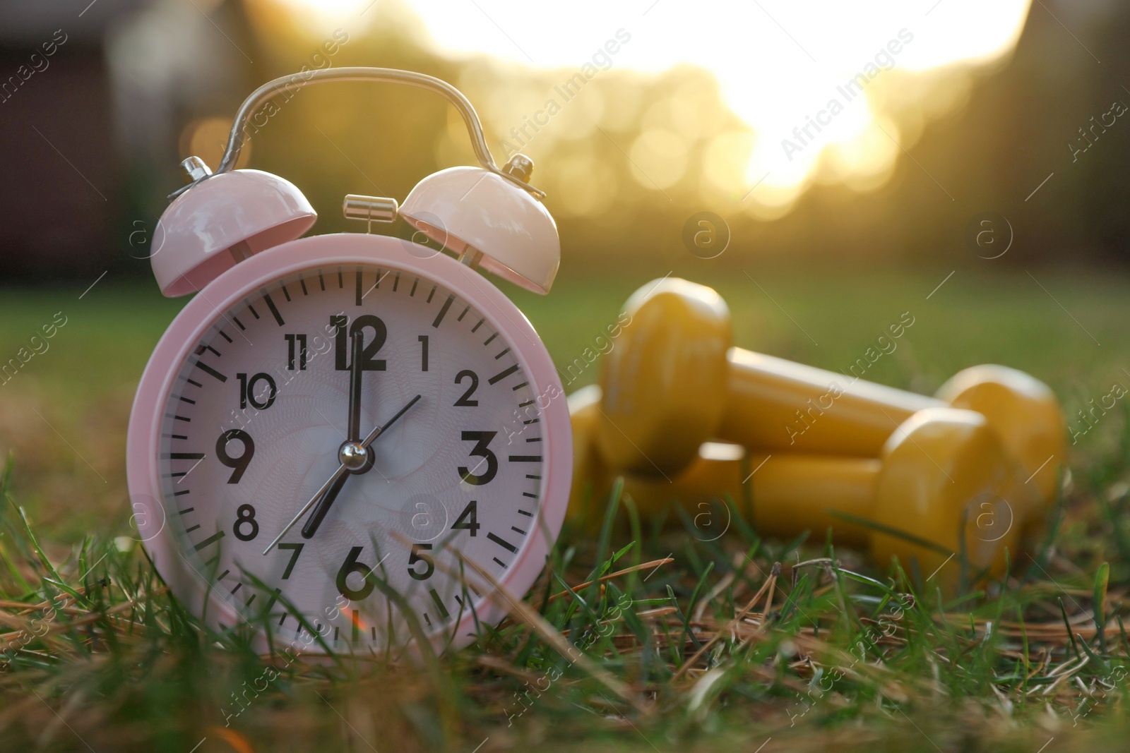 Photo of Alarm clock and dumbbells on green grass outdoors, closeup with space for text. Morning exercise