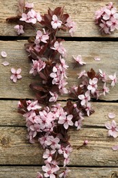 Photo of Spring branch with beautiful blossoms, petals and leaves on wooden table, top view