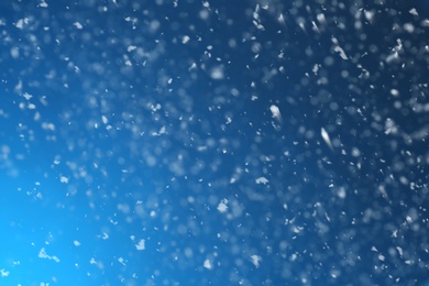 Photo of Snow flakes falling on blue background. Winter weather