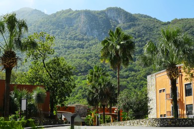 Photo of View of city buildings and palm trees near beautiful mountain