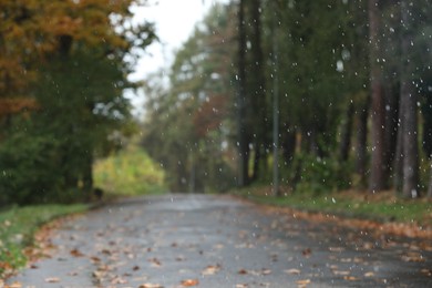 Photo of Blurred view of pathway in autumn park on rainy day