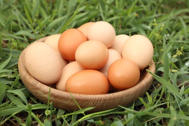 Fresh chicken eggs on green grass outdoors, closeup