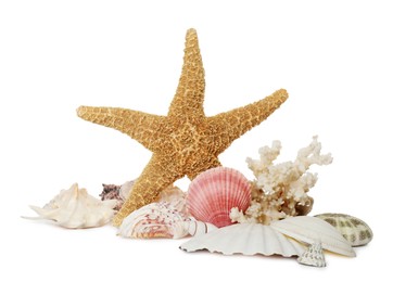 Photo of Beautiful starfish, coral and sea shells on white background