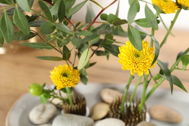 Ikebana art. Beautiful yellow flowers and green branches on table