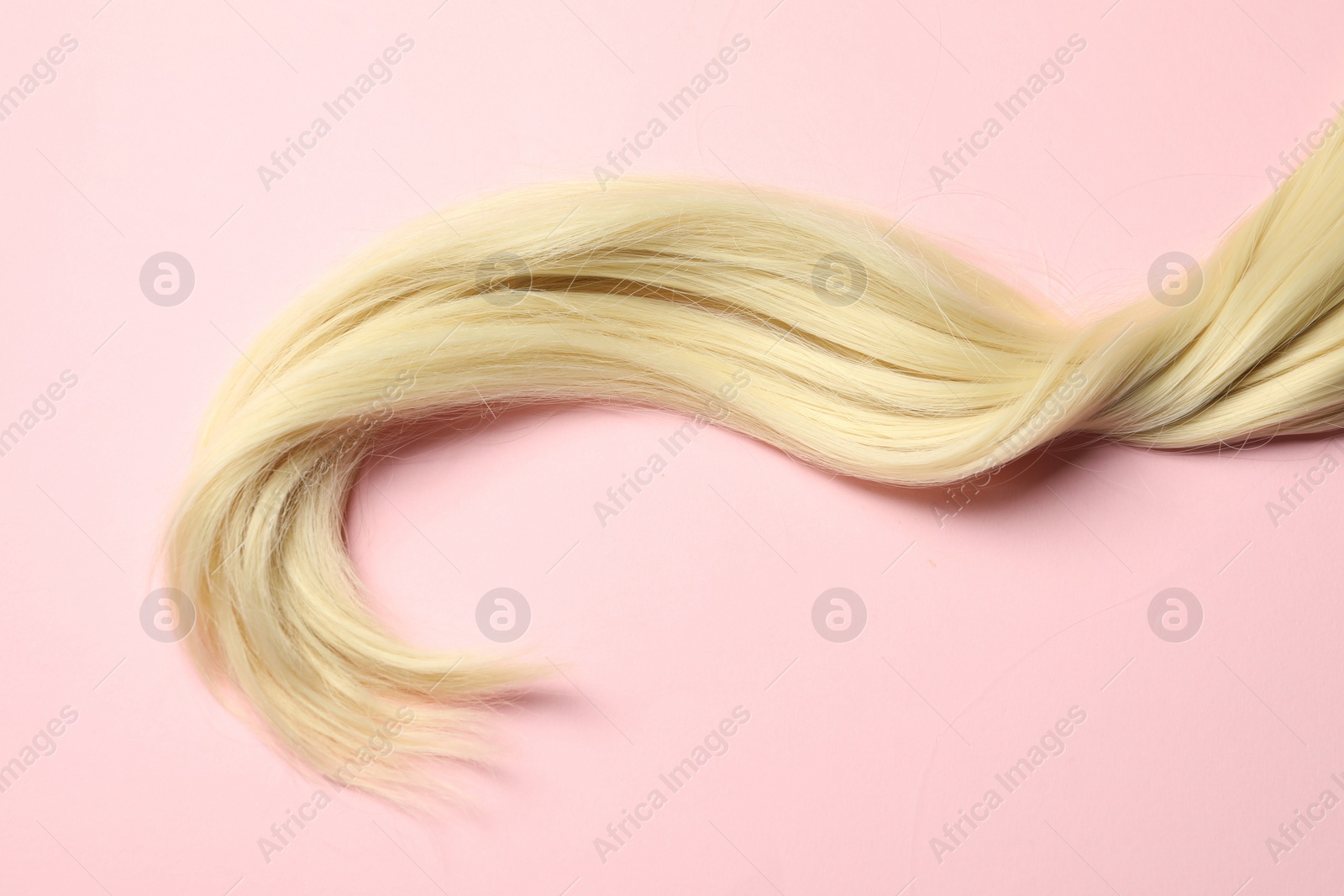 Photo of Blonde hair strand on pink background, top view