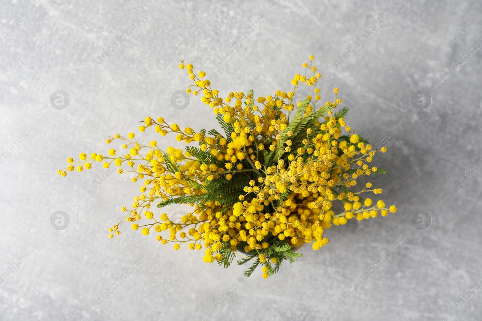 Photo of Bouquet of beautiful mimosa flowers on grey table