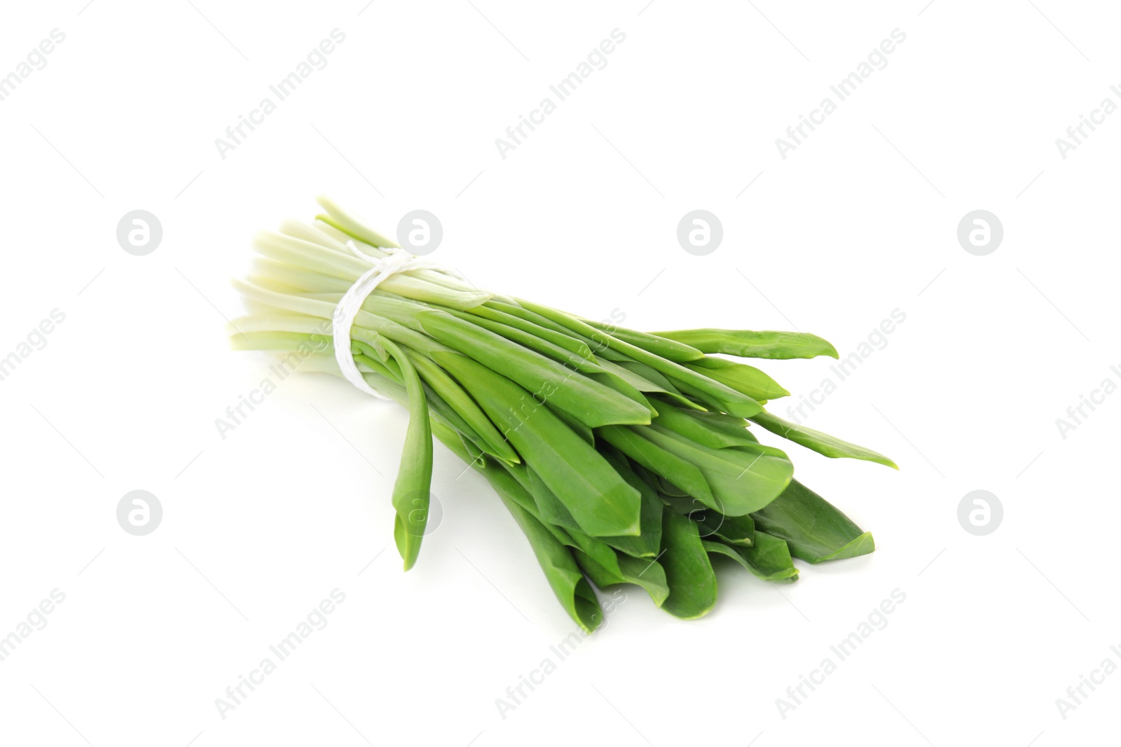 Photo of Bunch of wild garlic or ramson isolated on white