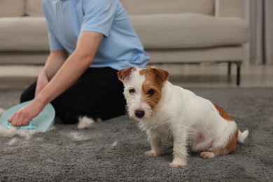 Man with brush and pan removing pet hair from carpet at home, closeup