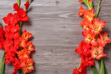 Photo of Flat lay composition with beautiful gladiolus flowers on wooden background. Space for text