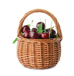 Wicker basket with sweet red cherries on white background