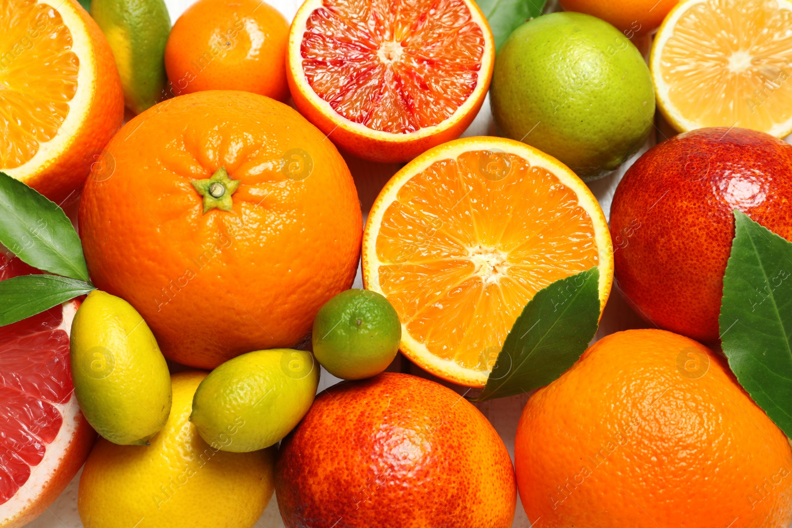 Photo of Many different citrus fruits as background, top view