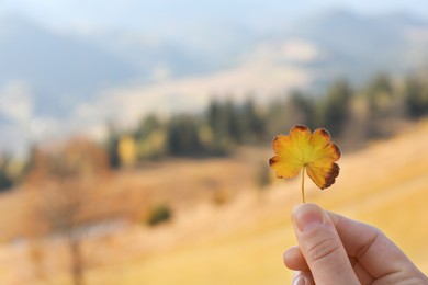 Woman holding beautiful leaf outdoors on autumn day, closeup. Space for text